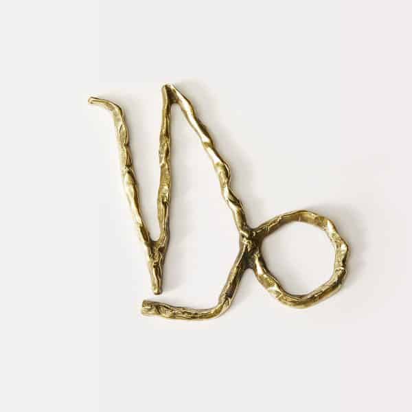Capricorn