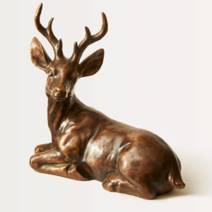 Little Deer